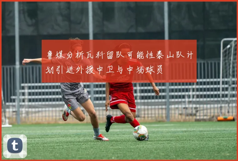 鲁媒分析瓦科留队可能性泰山队计划引进外援中卫与中场球员