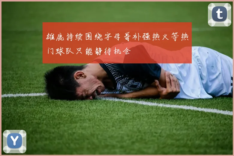 雄鹿持续围绕字母哥补强热火等热门球队只能静待机会