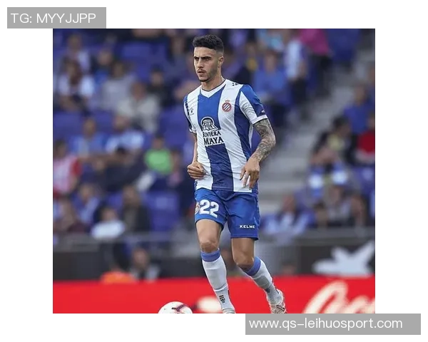 罗马因埃尔莫索受伤再度考虑引进德勒古欣的可能性